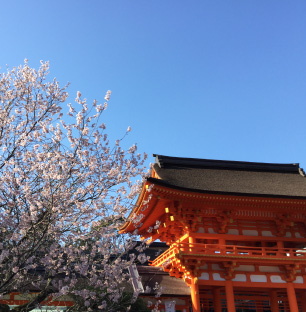 Enjoy the splendid views and World Heritages in Kyoto